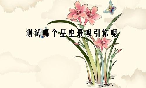 测试哪个星座最吸引你呢