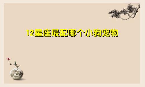 12星座最配哪个小狗宠物