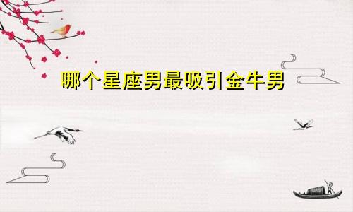 哪个星座男最吸引金牛男