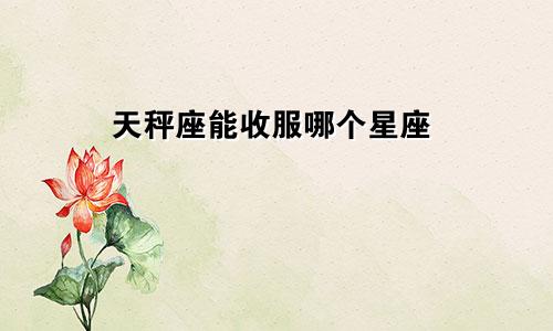 天秤座能收服哪个星座