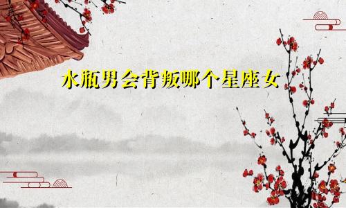水瓶男会背叛哪个星座女