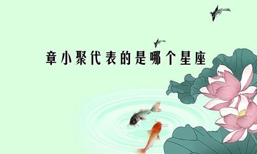 章小聚代表的是哪个星座