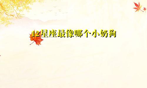 12星座最像哪个小奶狗