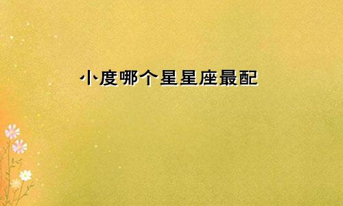 小度哪个星星座最配