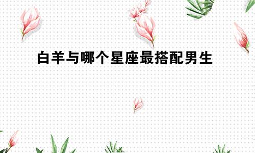 白羊与哪个星座最搭配男生