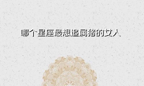 哪个星座最想追属猪的女人