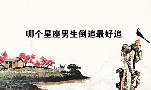 哪个星座男生倒追最好追