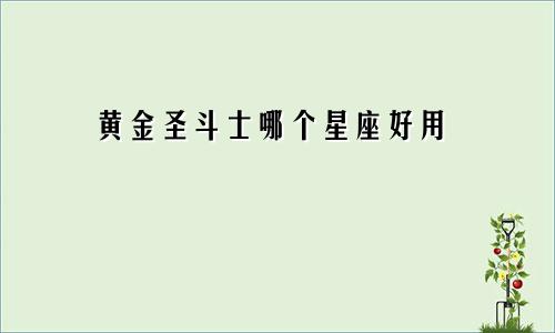黄金圣斗士哪个星座好用