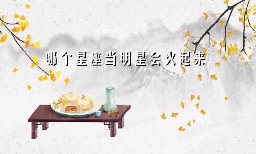 哪个星座当明星会火起来