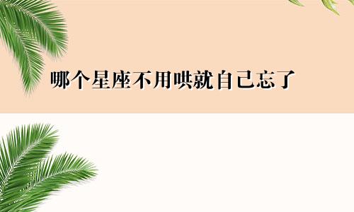 哪个星座不用哄就自己忘了