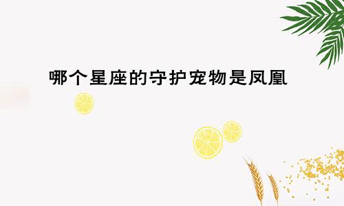 哪个星座的守护宠物是凤凰