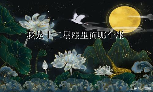 我是十二星座里面哪个座