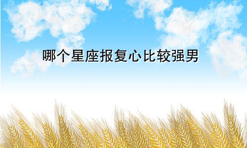哪个星座报复心比较强男