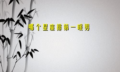 哪个星座排第一暖男