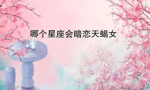 哪个星座会暗恋天蝎女