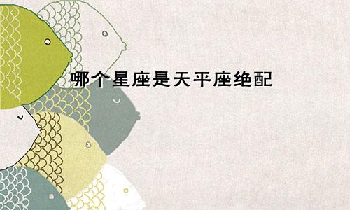 哪个星座是天平座绝配