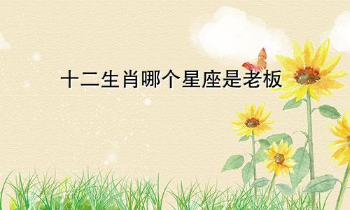十二生肖哪个星座是老板
