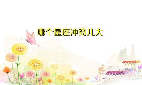 哪个星座冲劲儿大