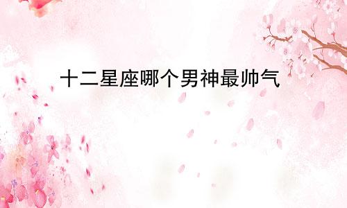 十二星座哪个男神最帅气