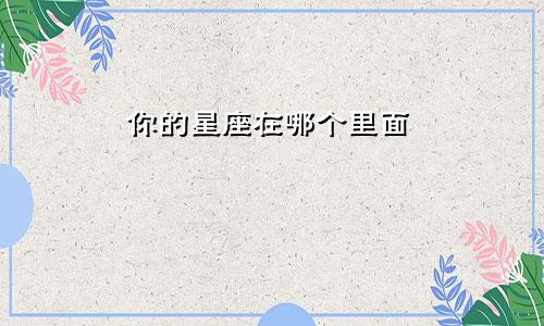 你的星座在哪个里面