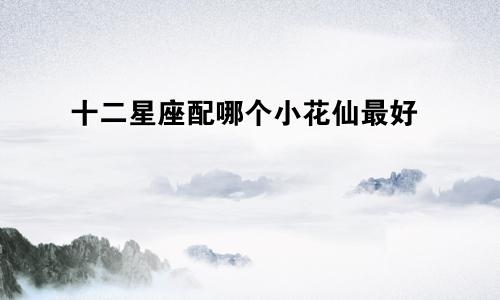 十二星座配哪个小花仙最好