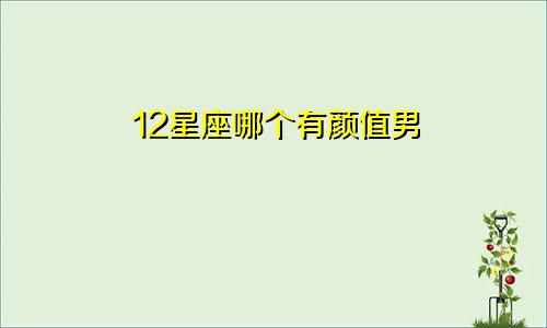 12星座哪个有颜值男