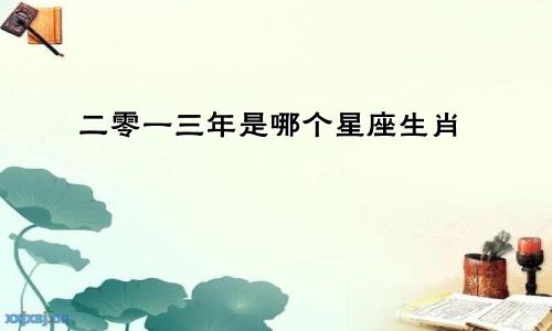 二零一三年是哪个星座生肖