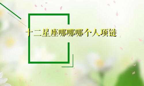 十二星座哪哪哪个人项链