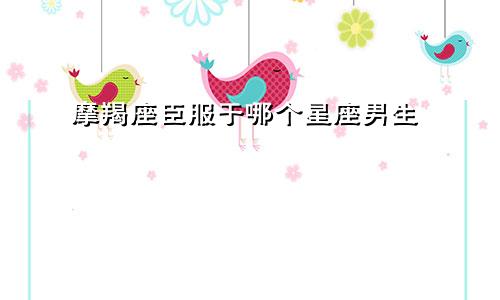 摩羯座臣服于哪个星座男生