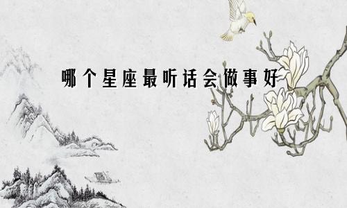 哪个星座最听话会做事好
