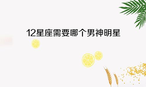 12星座需要哪个男神明星