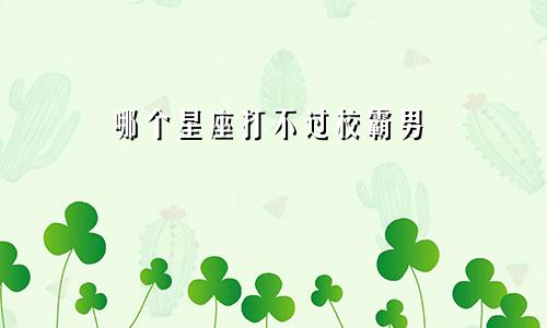 哪个星座打不过校霸男