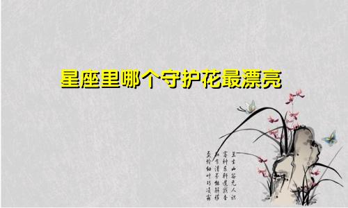 星座里哪个守护花最漂亮