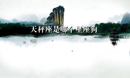 天秤座是哪个星座狗