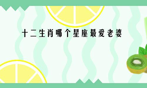十二生肖哪个星座最爱老婆