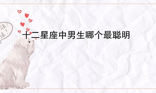 十二星座中男生哪个最聪明