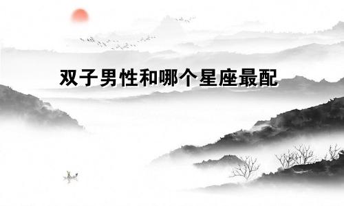 双子男性和哪个星座最配