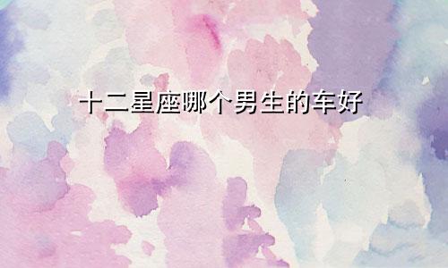 十二星座哪个男生的车好