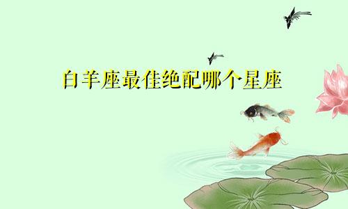 白羊座最佳绝配哪个星座