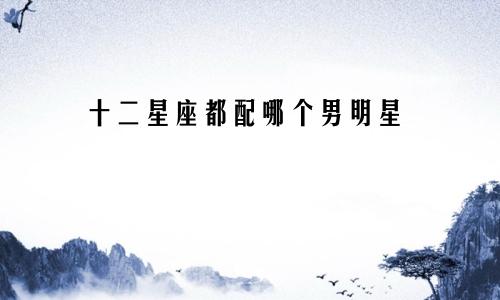 十二星座都配哪个男明星