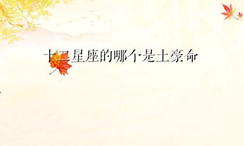 十二星座的哪个是土豪命