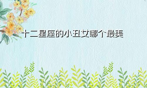 十二星座的小丑女哪个最美