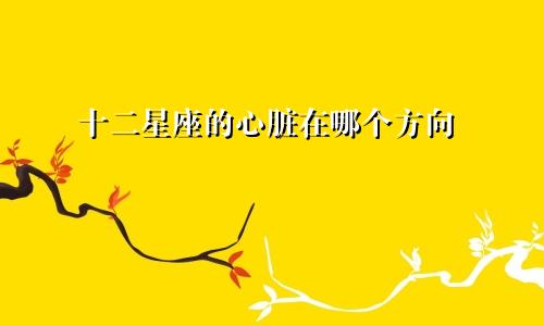 十二星座的心脏在哪个方向