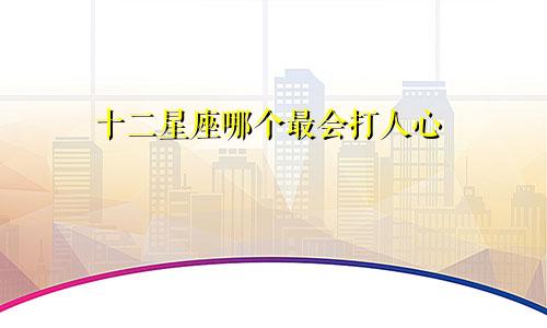 十二星座哪个最会打人心