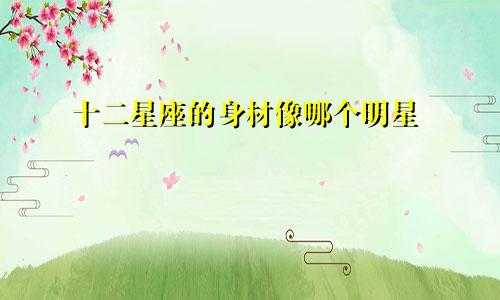 十二星座的身材像哪个明星