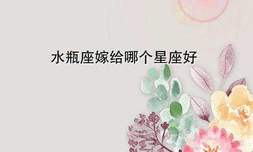 水瓶座嫁给哪个星座好