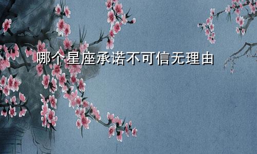 哪个星座承诺不可信无理由