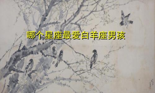 哪个星座最爱白羊座男孩