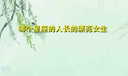 哪个星座的人长的漂亮女生
