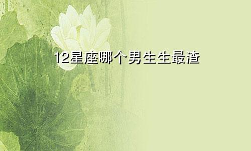 12星座哪个男生生最渣